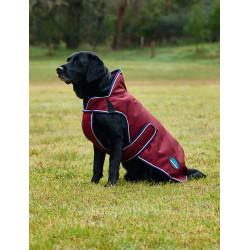 Couverture imperméable Weatherbeeta chien ComFiTec Premier Deluxe Bourgogne / marine Couverture imperméable Weatherbeeta chien ComFiTec Premier Deluxe Bourgogne / marine