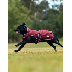 Couverture imperméable Weatherbeeta chien ComFiTec Premier Deluxe Bourgogne / marine Couverture imperméable Weatherbeeta chien ComFiTec Premier Deluxe Bourgogne / marine