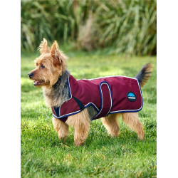 Couverture imperméable Weatherbeeta chien ComFiTec Premier Deluxe Bourgogne / marine Couverture imperméable Weatherbeeta chien ComFiTec Premier Deluxe Bourgogne / marine