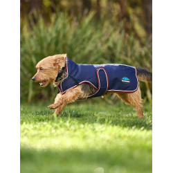 Couverture imperméable Weatherbeeta chien ComFiTec Premier Deluxe Marine / bourgogne Couverture imperméable Weatherbeeta chien ComFiTec Premier Deluxe Marine / bourgogne