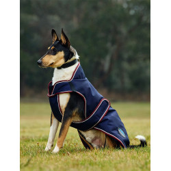 Couverture imperméable Weatherbeeta chien ComFiTec Premier Deluxe Marine / bourgogne Couverture imperméable Weatherbeeta chien ComFiTec Premier Deluxe Marine / bourgogne