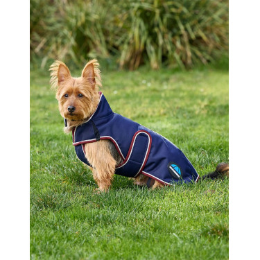 Couverture imperméable Weatherbeeta chien ComFiTec Premier Deluxe Marine / bourgogne Couverture imperméable Weatherbeeta chien ComFiTec Premier Deluxe Marine / bourgogne