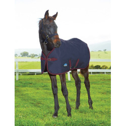 Couverture poulain Weatherbeeta 1200D 220g Marine / bourgogne