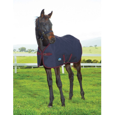 Couverture poulain Weatherbeeta 1200D 220g Marine / bourgogne Couverture poulain Weatherbeeta 1200D 220g Marine / bourgogne