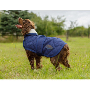 Couverture pour chien Weatherbeeta ComFiTec Deluxe Diamond Quilt Marine Bleu marine Couverture pour chien Weatherbeeta ComFiTec Deluxe Diamond Quilt Marine Bleu marine