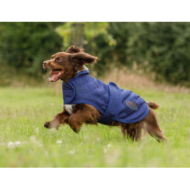 Couverture pour chien Weatherbeeta ComFiTec Deluxe Diamond Quilt Marine Bleu marine Couverture pour chien Weatherbeeta ComFiTec Deluxe Diamond Quilt Marine Bleu marine