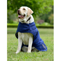 Couverture pour chien Weatherbeeta ComFiTec Deluxe Diamond Quilt Marine Bleu marine