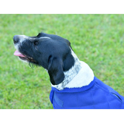 Couverture pour chien Weatherbeeta ComFiTec Deluxe Diamond Quilt Marine Bleu marine