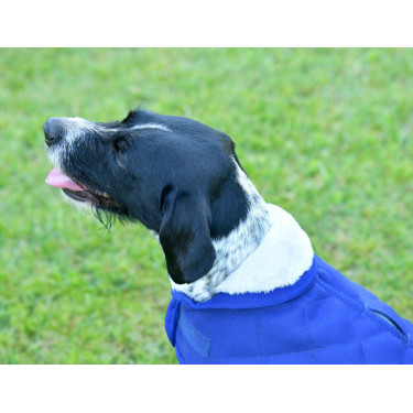 Couverture pour chien Weatherbeeta ComFiTec Deluxe Diamond Quilt Marine Bleu marine Couverture pour chien Weatherbeeta ComFiTec Deluxe Diamond Quilt Marine Bleu marine