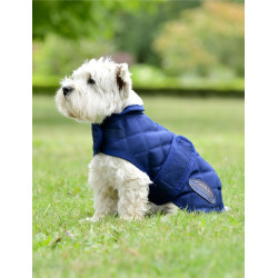 Couverture pour chien Weatherbeeta ComFiTec Deluxe Diamond Quilt Marine Bleu marine