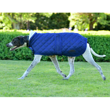 Couverture pour chien Weatherbeeta ComFiTec Deluxe Diamond Quilt Marine Bleu marine Couverture pour chien Weatherbeeta ComFiTec Deluxe Diamond Quilt Marine Bleu marine
