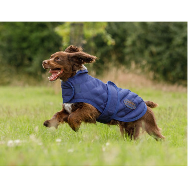 Couverture pour chien Weatherbeeta ComFiTec Deluxe Diamond Quilt Marine Bleu marine Couverture pour chien Weatherbeeta ComFiTec Deluxe Diamond Quilt Marine Bleu marine