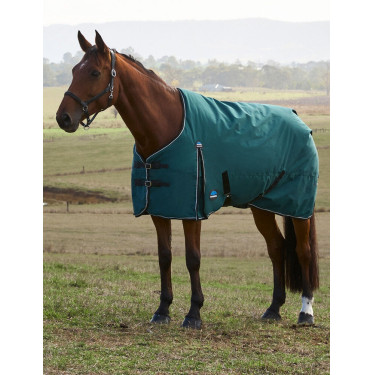 Couverture Weatherbeeta ComFiTec Classic Turnout 220g Vert forêt / noir Couverture Weatherbeeta ComFiTec Classic Turnout 220g Vert forêt / noir