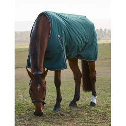 Couverture Weatherbeeta ComFiTec Classic Turnout 220g Vert forêt / noir Couverture Weatherbeeta ComFiTec Classic Turnout 220g Vert forêt / noir