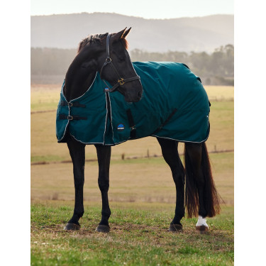 Couverture Weatherbeeta ComFiTec Classic Turnout 50g Vert forêt / noir Couverture Weatherbeeta ComFiTec Classic Turnout 50g Vert forêt / noir