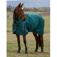 Couverture Weatherbeeta ComFiTec Classic Turnout combo 220g Vert forêt / noir Couverture Weatherbeeta ComFiTec Classic Turnout combo 220g Vert forêt / noir