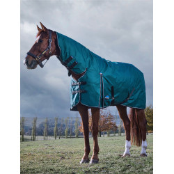 Couverture Weatherbeeta ComFiTec Classic Turnout combo 220g Vert forêt / noir Couverture Weatherbeeta ComFiTec Classic Turnout combo 220g Vert forêt / noir