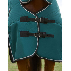 Couverture Weatherbeeta ComFiTec Classic Turnout combo 220g Vert forêt / noir Couverture Weatherbeeta ComFiTec Classic Turnout combo 220g Vert forêt / noir