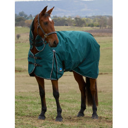 Couverture Weatherbeeta ComFiTec Classic Turnout combo 360g Vert forêt / noir