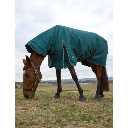 Couverture Weatherbeeta ComFiTec Classic Turnout combo 360g Vert forêt / noir