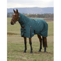 Couverture Weatherbeeta ComFiTec Classic Turnout combo 50g Vert forêt / noir Couverture Weatherbeeta ComFiTec Classic Turnout combo 50g Vert forêt / noir