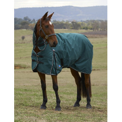 Couverture Weatherbeeta ComFiTec Classic Turnout combo 50g Vert forêt / noir Couverture Weatherbeeta ComFiTec Classic Turnout combo 50g Vert forêt / noir