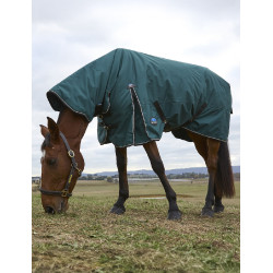 Couverture Weatherbeeta ComFiTec Classic Turnout combo 50g Vert forêt / noir Couverture Weatherbeeta ComFiTec Classic Turnout combo 50g Vert forêt / noir