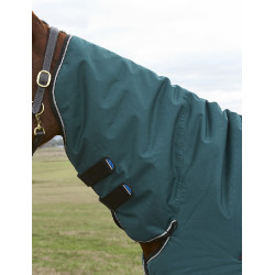 Couverture Weatherbeeta ComFiTec Classic Turnout combo 50g Vert forêt / noir Couverture Weatherbeeta ComFiTec Classic Turnout combo 50g Vert forêt / noir