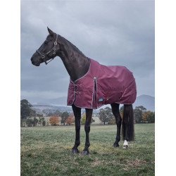 Couverture Weatherbeeta ComFiTec Essential Turnout 220g Bourgogne / marine Couverture Weatherbeeta ComFiTec Essential Turnout 220g Bourgogne / marine