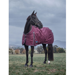 Couverture Weatherbeeta ComFiTec Essential Turnout 220g Bourgogne / marine Couverture Weatherbeeta ComFiTec Essential Turnout 220g Bourgogne / marine