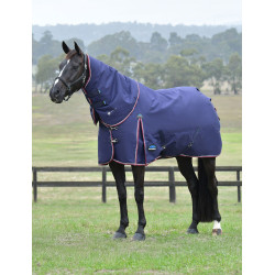 Couverture Weatherbeeta ComFiTec Essential Turnout 220g couvre cou détachable Marine / bourgogne