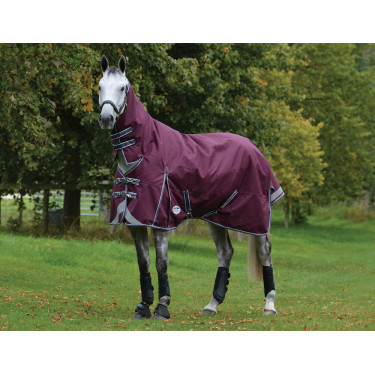Couverture Weatherbeeta ComFiTec Plus Dynamic II Combo cou Medium Bordeaux / gris / blanc Couverture Weatherbeeta ComFiTec Plus Dynamic II Combo cou Medium Bordeaux / gris / blanc