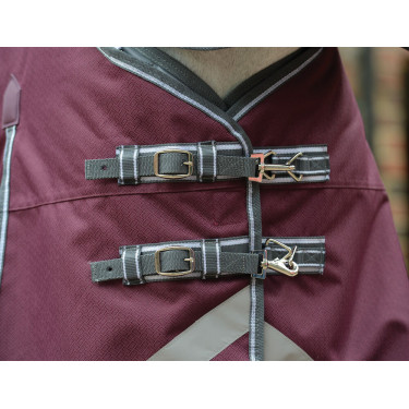 Couverture Weatherbeeta ComFiTec Plus Dynamic II Combo cou Medium Bordeaux / gris / blanc Couverture Weatherbeeta ComFiTec Plus Dynamic II Combo cou Medium Bordeaux / gris / blanc