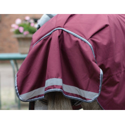 Couverture Weatherbeeta ComFiTec Plus Dynamic II Medium / Lite Bordeaux / gris / blanc Couverture Weatherbeeta ComFiTec Plus Dynamic II Medium / Lite Bordeaux / gris / blanc
