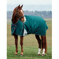 Couverture Weatherbeeta ComFiTec Plus Dynamic Turnout 100g high neck Vert forêt / marine