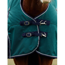 Couverture Weatherbeeta ComFiTec Plus Dynamic Turnout 100g high neck Vert forêt / marine Couverture Weatherbeeta ComFiTec Plus Dynamic Turnout 100g high neck Vert forêt / marine