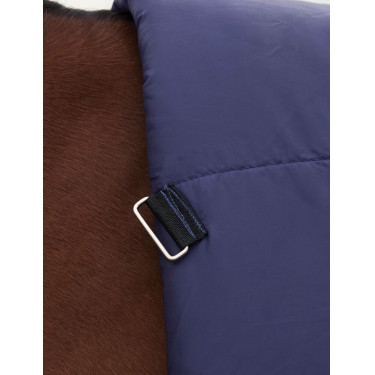 Couverture Weatherbeeta ComFiTec Plus Dynamic Turnout 100g high neck Marine / vert forêt Bleu