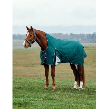 Couverture Weatherbeeta ComFiTec Plus Dynamic Turnout 220g high neck Vert forêt / marine Couverture Weatherbeeta ComFiTec Plus Dynamic Turnout 220g high neck Vert forêt / marine