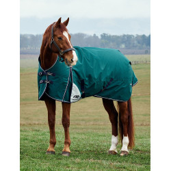 Couverture Weatherbeeta ComFiTec Plus Dynamic Turnout 220g high neck Vert forêt / marine Couverture Weatherbeeta ComFiTec Plus Dynamic Turnout 220g high neck Vert forêt / marine