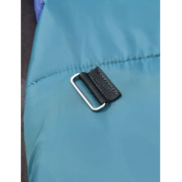 Couverture Weatherbeeta ComFiTec Plus Dynamic Turnout 220g high neck Vert forêt / marine Couverture Weatherbeeta ComFiTec Plus Dynamic Turnout 220g high neck Vert forêt / marine