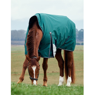 Couverture Weatherbeeta ComFiTec Plus Dynamic Turnout 220g high neck Vert forêt / marine Couverture Weatherbeeta ComFiTec Plus Dynamic Turnout 220g high neck Vert forêt / marine
