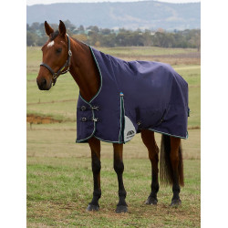 Couverture Weatherbeeta ComFiTec Plus Dynamic Turnout 220g high neck Marine / vert forêt Bleu Couverture Weatherbeeta ComFiTec Plus Dynamic Turnout 220g high neck Marine / vert forêt Bleu
