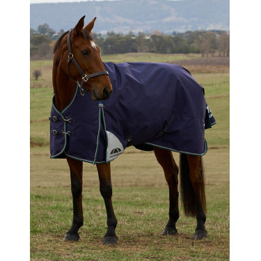Couverture Weatherbeeta ComFiTec Plus Dynamic Turnout 220g high neck Marine / vert forêt Bleu Couverture Weatherbeeta ComFiTec Plus Dynamic Turnout 220g high neck Marine / vert forêt Bleu