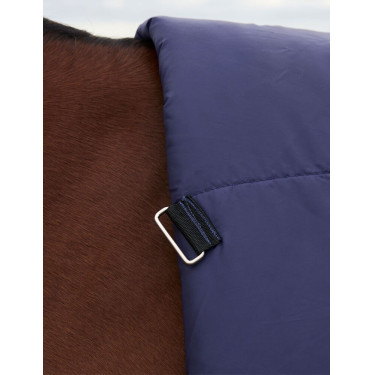 Couverture Weatherbeeta ComFiTec Plus Dynamic Turnout 220g high neck Marine / vert forêt Bleu Couverture Weatherbeeta ComFiTec Plus Dynamic Turnout 220g high neck Marine / vert forêt Bleu