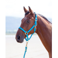 Licol nylon Topaz Shires Bleu Licol nylon Topaz Shires Bleu