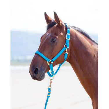 Licol nylon Topaz Shires Bleu Licol nylon Topaz Shires Bleu
