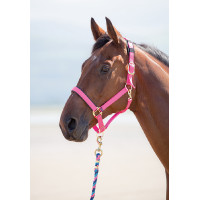 Licol nylon Topaz Shires Rose Licol nylon Topaz Shires Rose