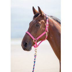 Licol nylon Topaz Shires Rose