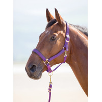 Licol nylon Topaz Shires Violet