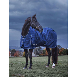 Couverture Weatherbeeta ComFiTec Prelim Turnout 220g Plaid en relief bleu marine Couverture Weatherbeeta ComFiTec Prelim Turnout 220g Plaid en relief bleu marine
